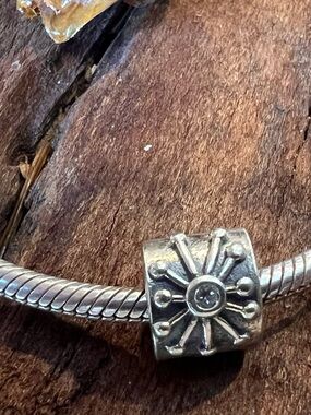 Authentic Pandora Charm Sunburst Desert  Flower Sterling  Silver Garden Floral